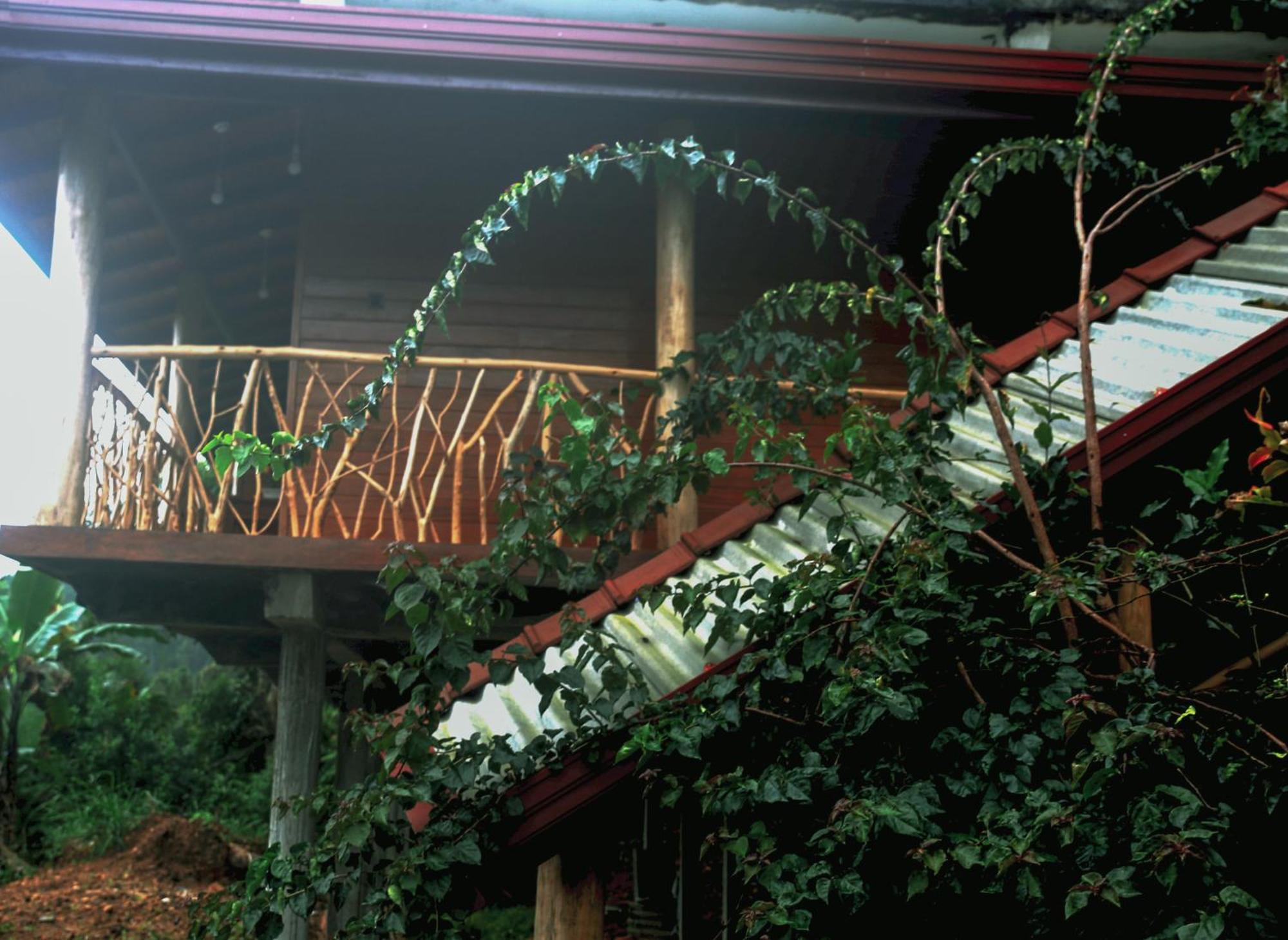 The Dream Inn エッラ エクステリア 写真